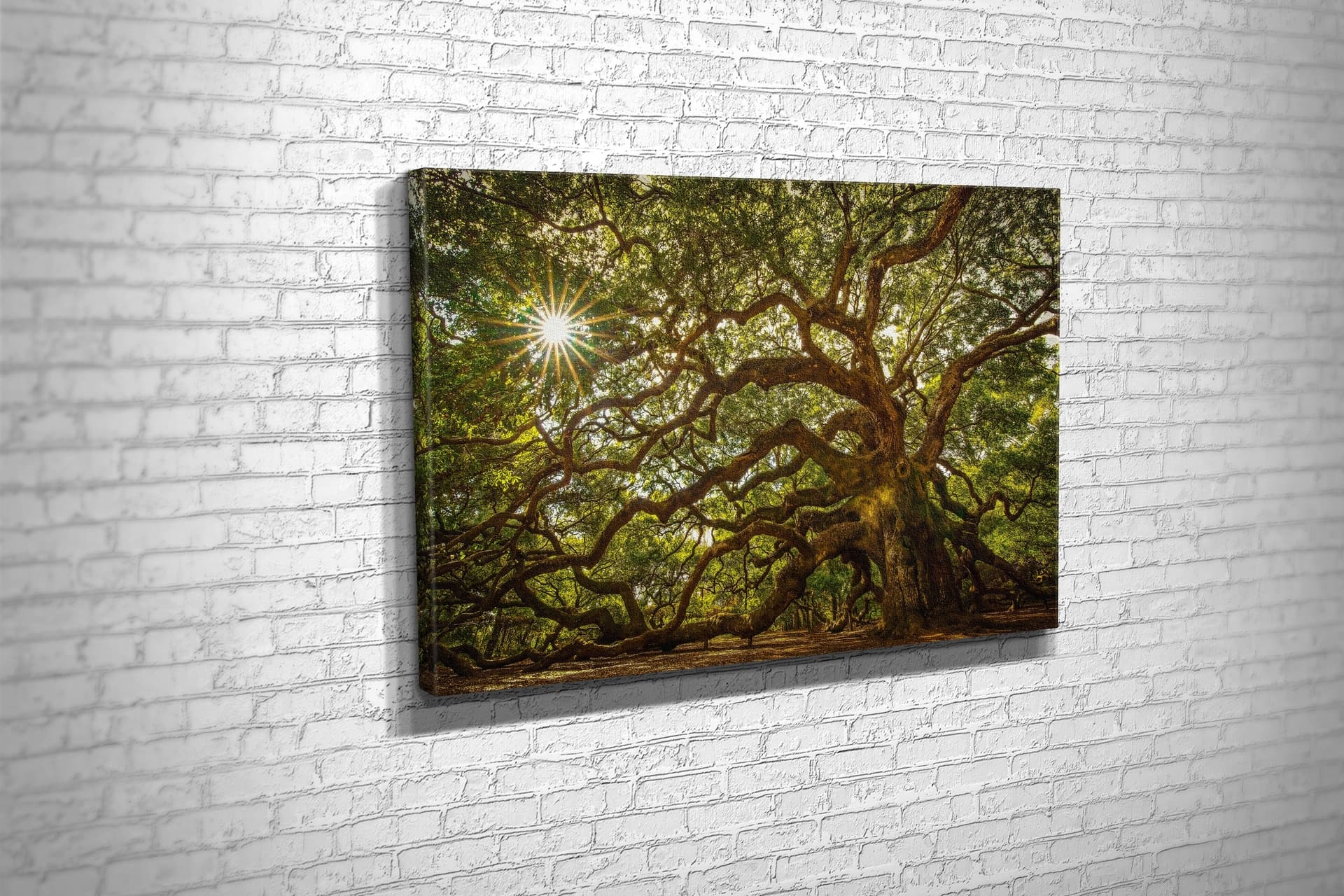 TABLO360 MELEK MEŞESİ KANVAS TABLO 50X75