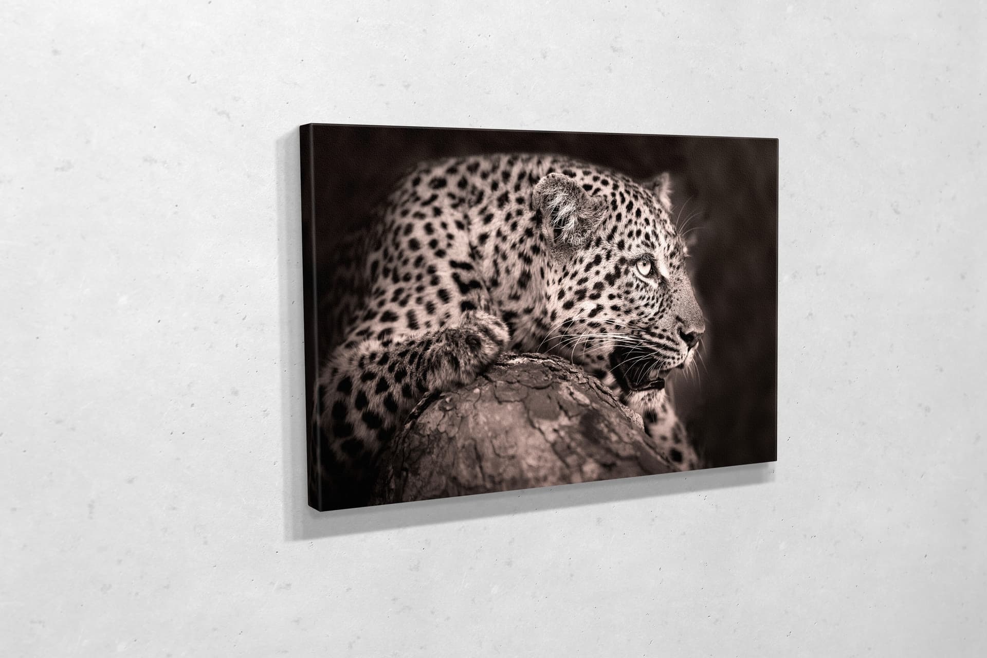 TABLO360 LEOPAR KANVAS TABLO 50X75