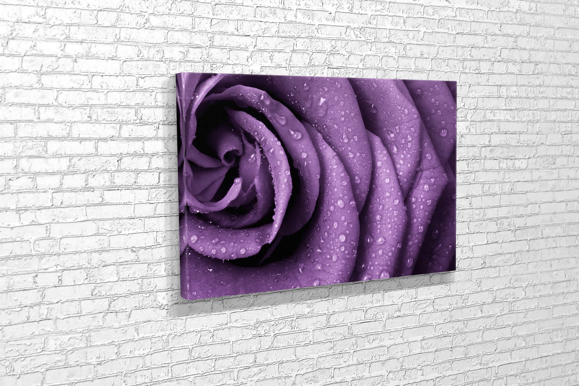 TABLO360 GÜL KANVAS TABLO 50X75