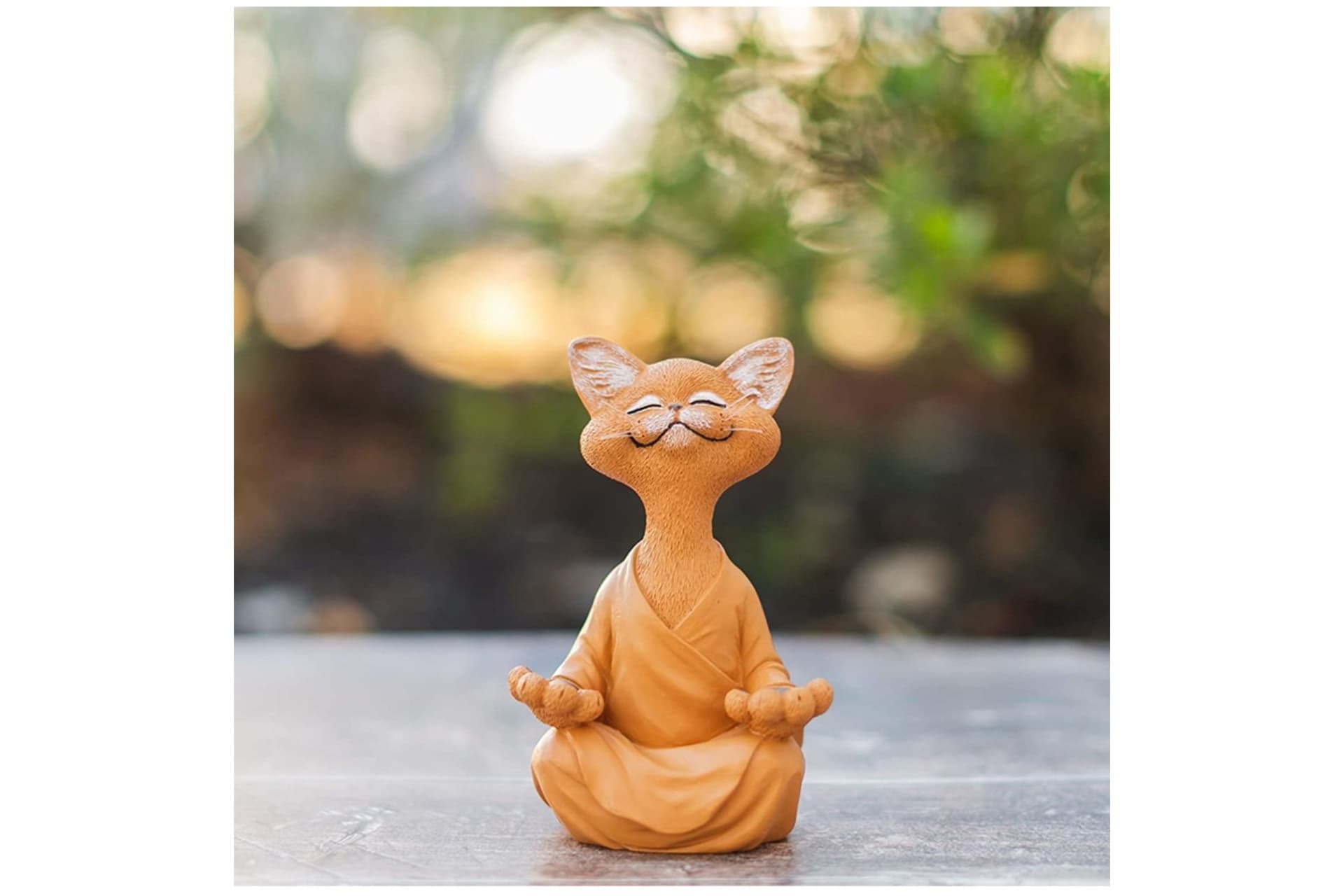 YOGA YAPAN KEDİ BİBLO, TURUNCU